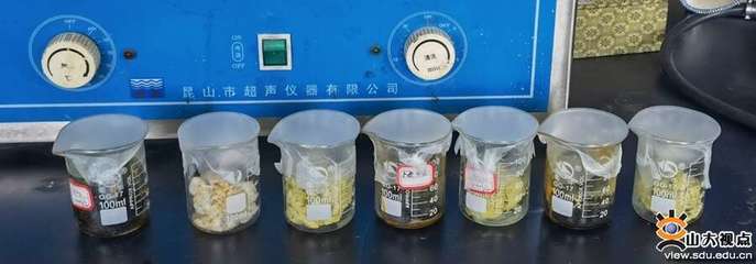 生物基材料技術(shù)研發(fā) 山大學子創(chuàng)新創(chuàng)業(yè)實踐的奮斗樂章