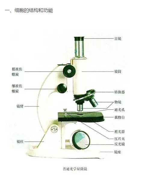 高中生物學基礎(chǔ)圖像考點與生物基材料技術(shù)研發(fā)