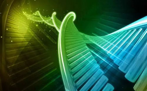 溫州生材所聯合上海交大、浙大成立研發中心，生物基材料技術助力阿爾茨海默癥治療